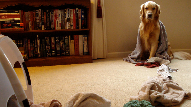 Blog Banner